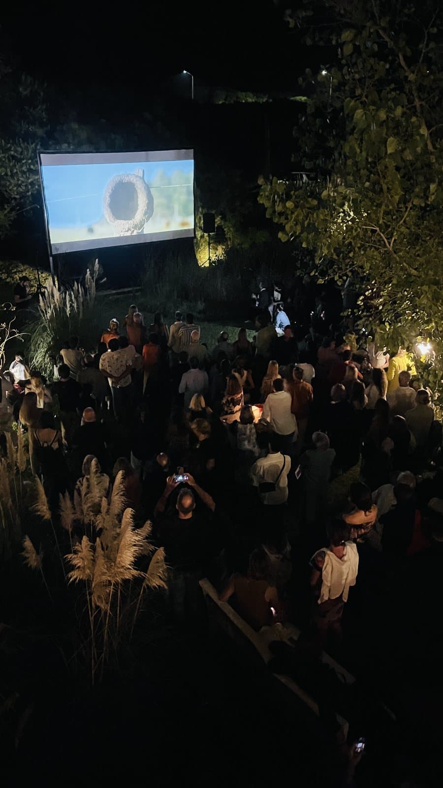 The mud nest projected on opening night
