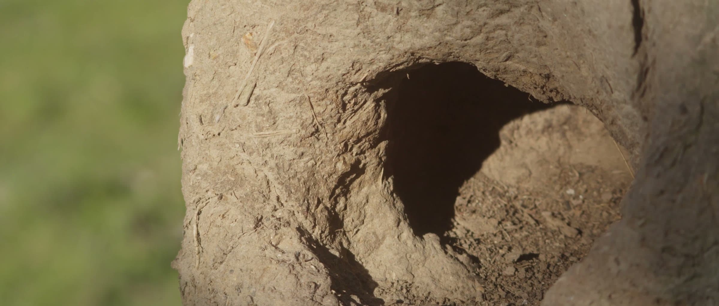 The opening of the mud nest