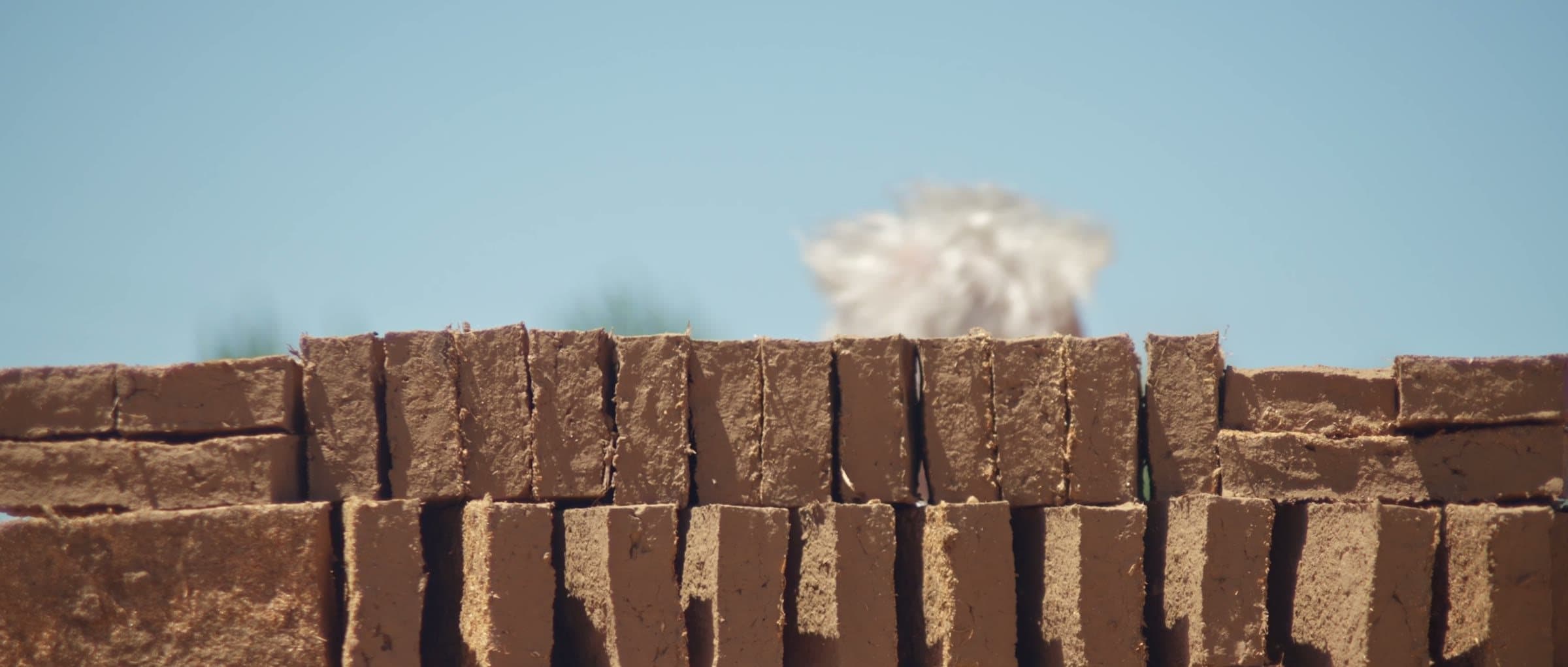 Heloísa Crocco behind a brick wall