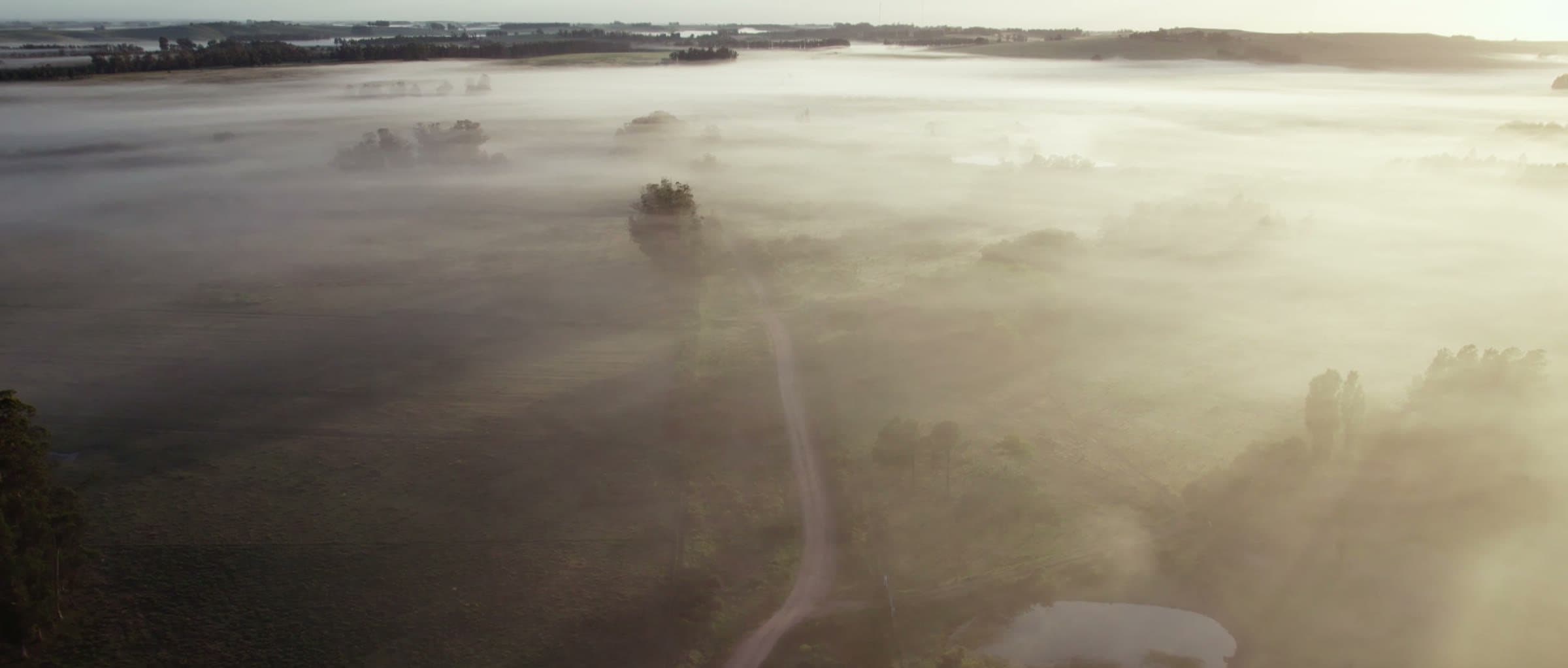 Fog over the fields, seen from above