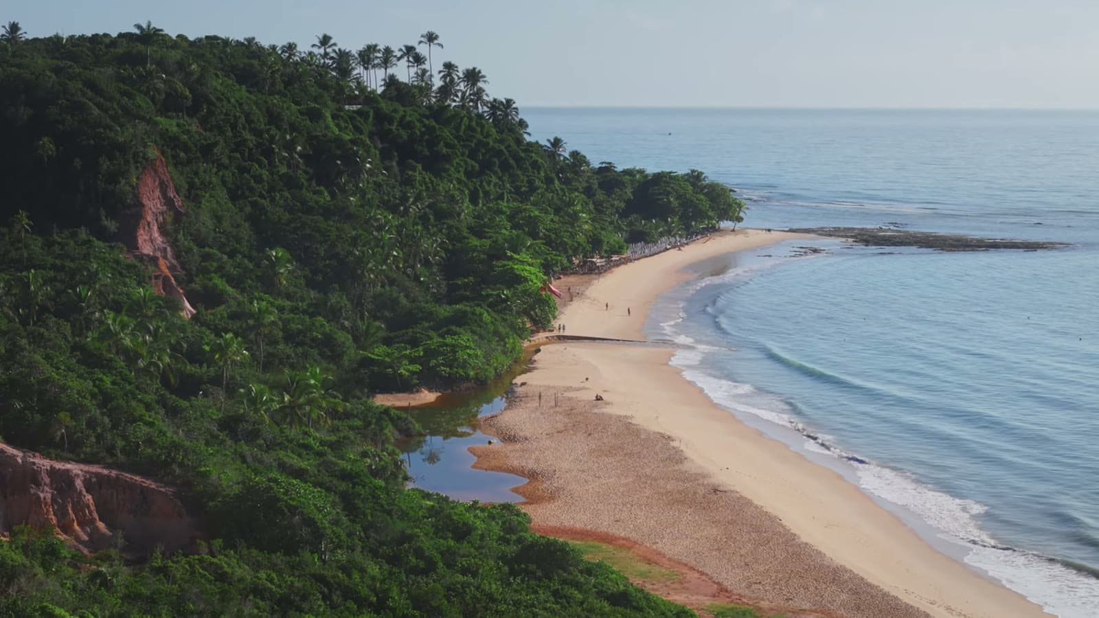 Aerial view of Pitinga Beach, with the forest running down to the sand and the calm sea