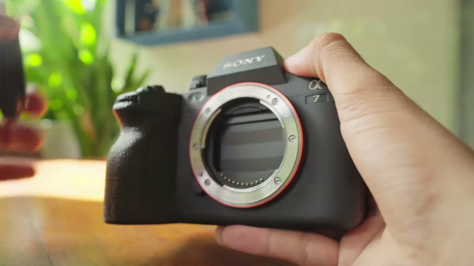 Mão segurando o corpo da Sony a7 IV sem lente, com o sensor à mostra, sobre uma mesa de madeira