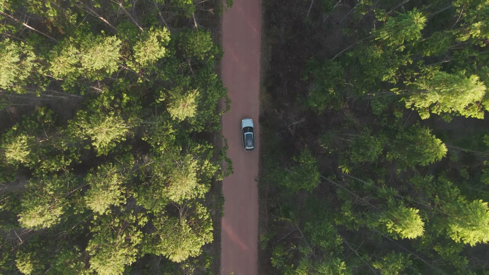 Vista aérea de cima de um carro andando numa estrada de terra no meio da mata