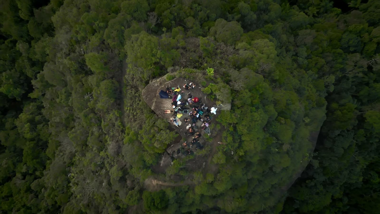 Drone view from above of the mountaintop surrounded by forest, with a group of people on the rock