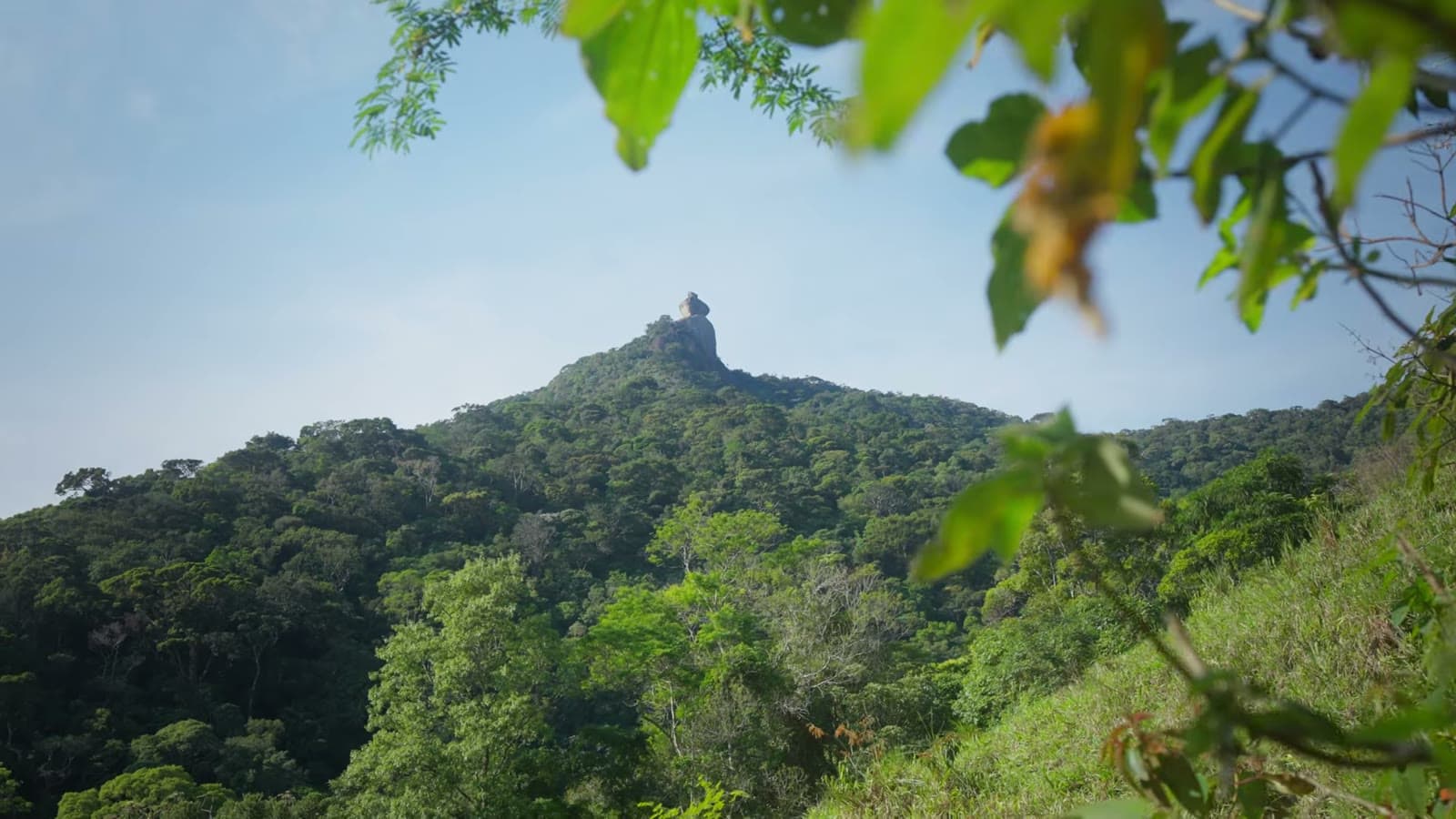 Peito do Pombo at the top of a forest-covered mountain, seen from below during the descent
