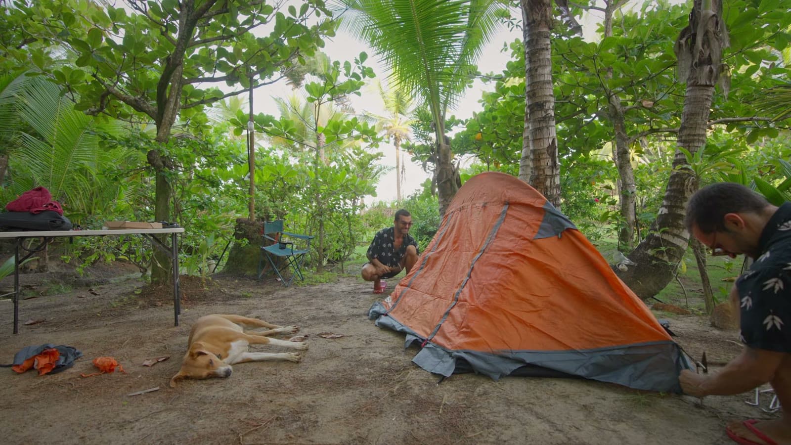 Barraca laranja sendo montada num camping entre árvores e coqueiros, com a Nina deitada na areia ao lado